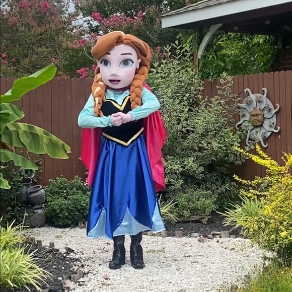Adult costume Disney princess frozen, we can make any princess. - Picture 4 of 10